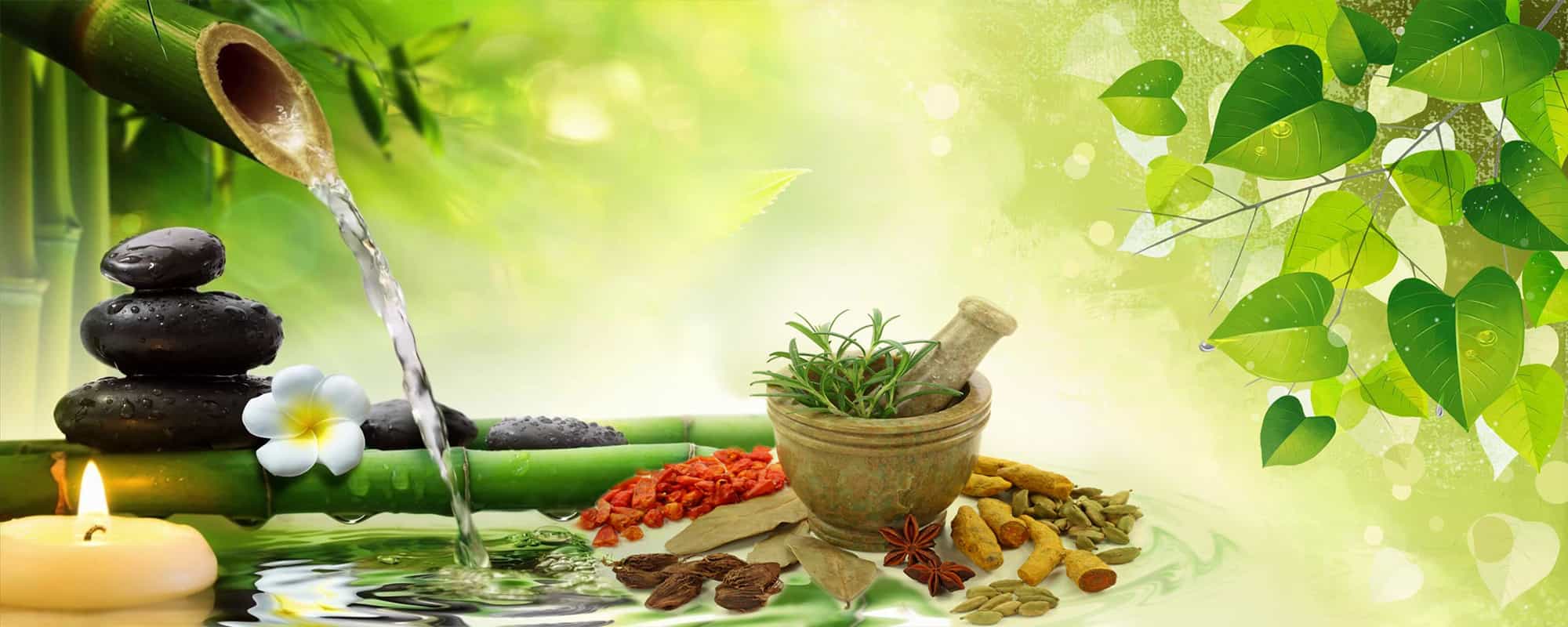 ayurvedic-pcd-pharma-franchise-2